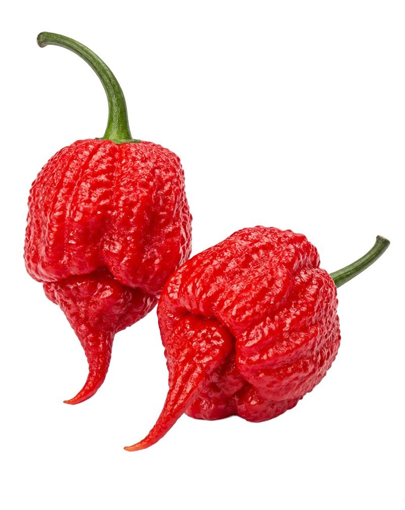 Carolina Reaper