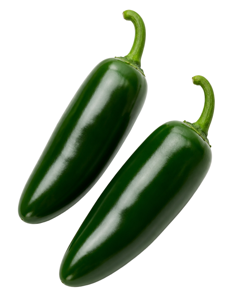 Jalapeño Pepper